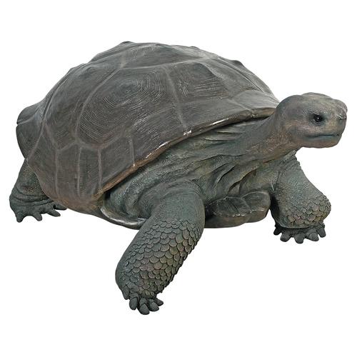 tortoise lawn statue