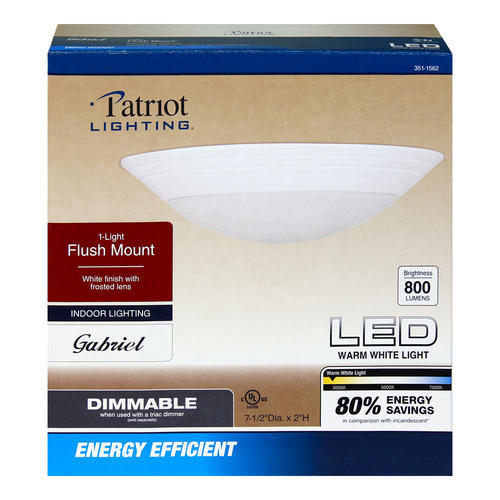 Patriot Lighting 71/2" Gabriel LED Ceiling Light at Menards®