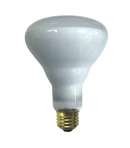 Incandescent Indoor Flood Lights : Watt br indoor flood bulbs pack at menards?