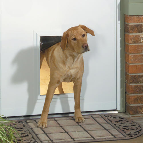 Larson Westminster Reversa Screen Storm Door with Pet Flap at Menards®