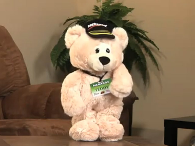 menards teddy bear
