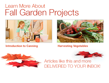 Learn More About Fall Garden Projects