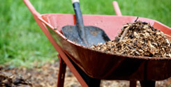 Mulching101