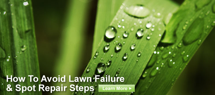 Avoid Lawn Failure