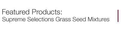 Featured Products