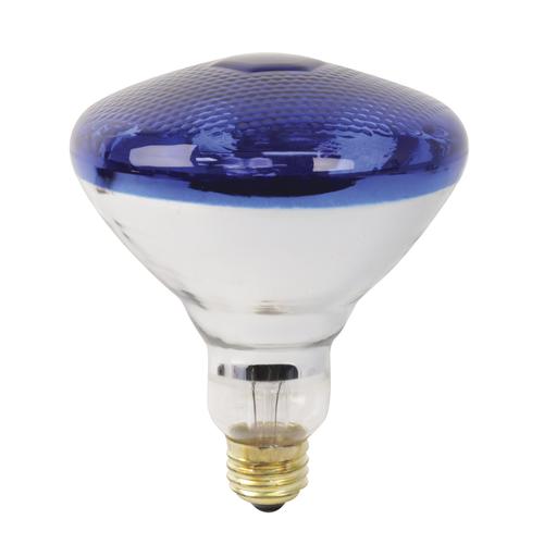 Feit Electric 100W PAR38 Blue Incandescent Light Bulb at Menards®