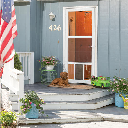 Screen Door With Dog Door Menards Storm Doors
