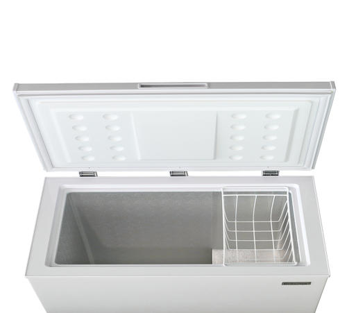Criterion® 10.2 cu. ft. Chest Freezer with High-Temperature Visual ...