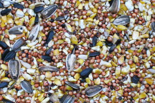 Nature S Own Country Mix Wild Bird Food Nature S Own Country Mix Wild Bird Food