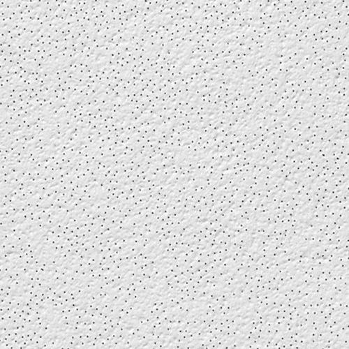 USG™ Alpine™ 2' x 2' Acoustical Lay-In Ceiling Tile Panel ...